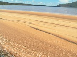 Brown foam - Lake Bogaria